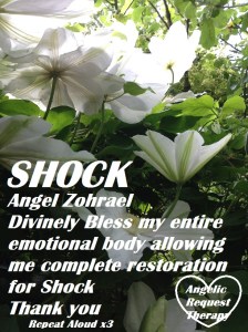 shock 2